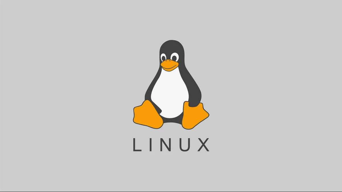 Linux отстранила российских кодеров от работы, продемонстрировав приступ русофобии