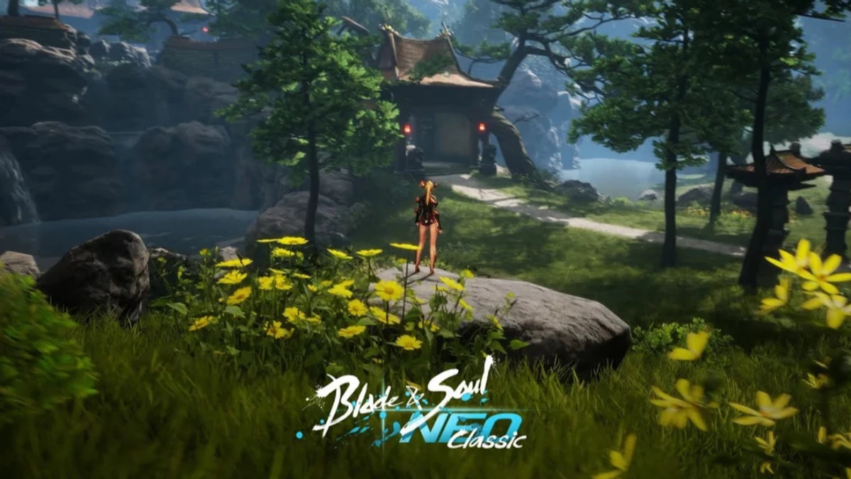 MMORPG Blade & Soul Neo получит глобальную версию