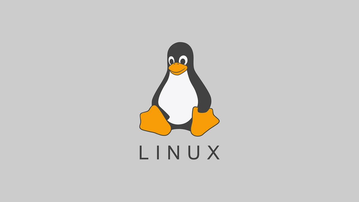 Linux отстранила российских кодеров от работы, продемонстрировав приступ русофобии