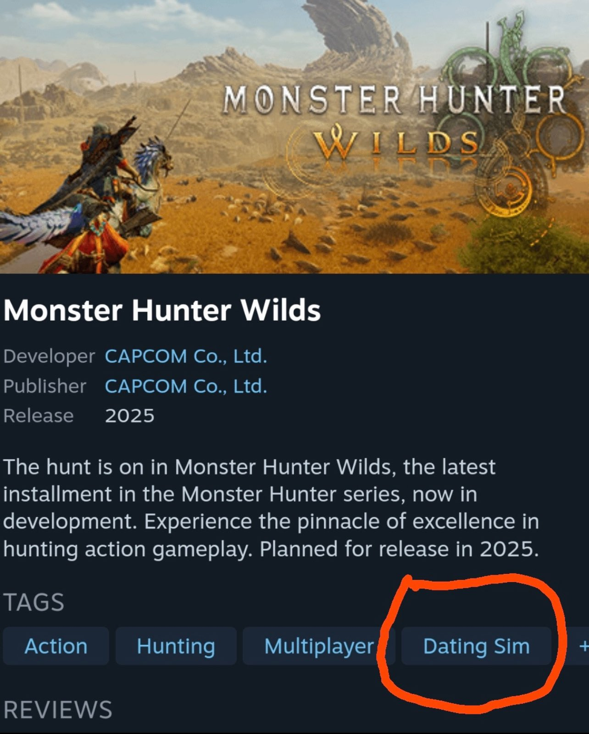 Monster Hunter Wilds отныне симулятор свиданий — так решили игроки в Steam  из-за Геммы - GoHa.Ru