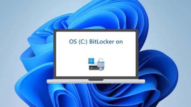 Windows 11 24H2 включит шифрование BitLocker для всех