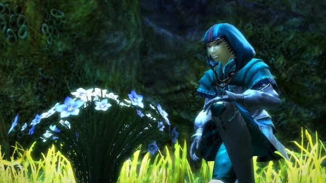 Игрокам Guild Wars 2 предлагают потрогать траву. В буквальном смысле