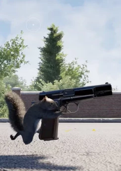 Squirrel with a Gun