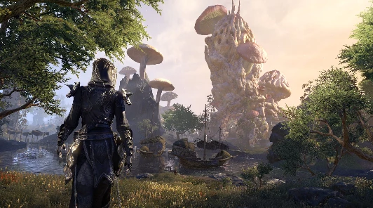 Разработчики The Elder Scrolls Online планируют внести крупные изменения в боевую систему игры