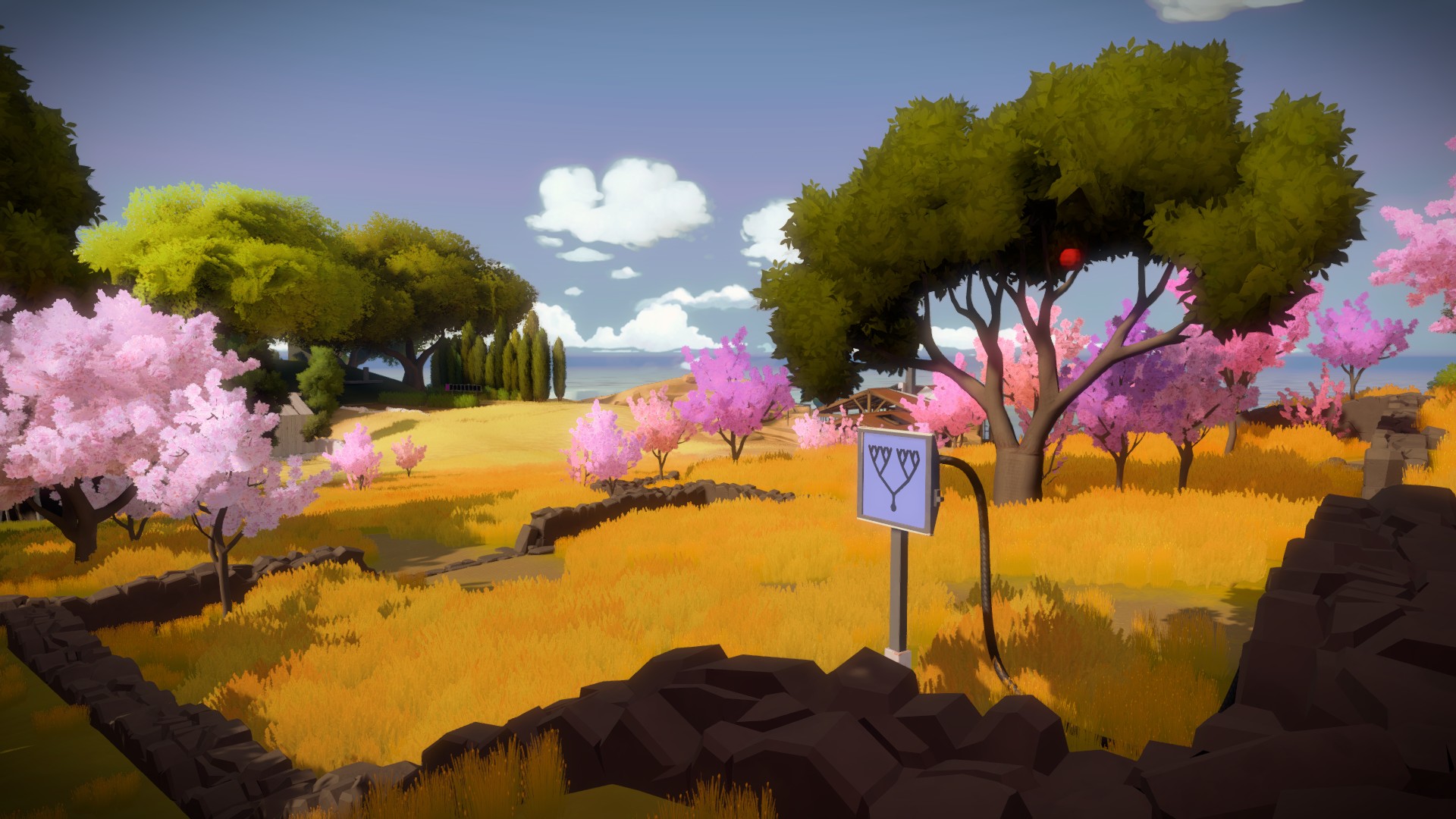 Картинки из игры the witness