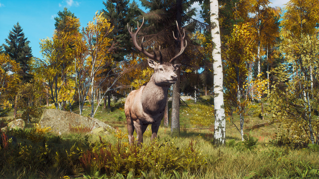 Красоты Скандинавии теперь доступнв в DLC для симулятора охоты Way of the Hunter