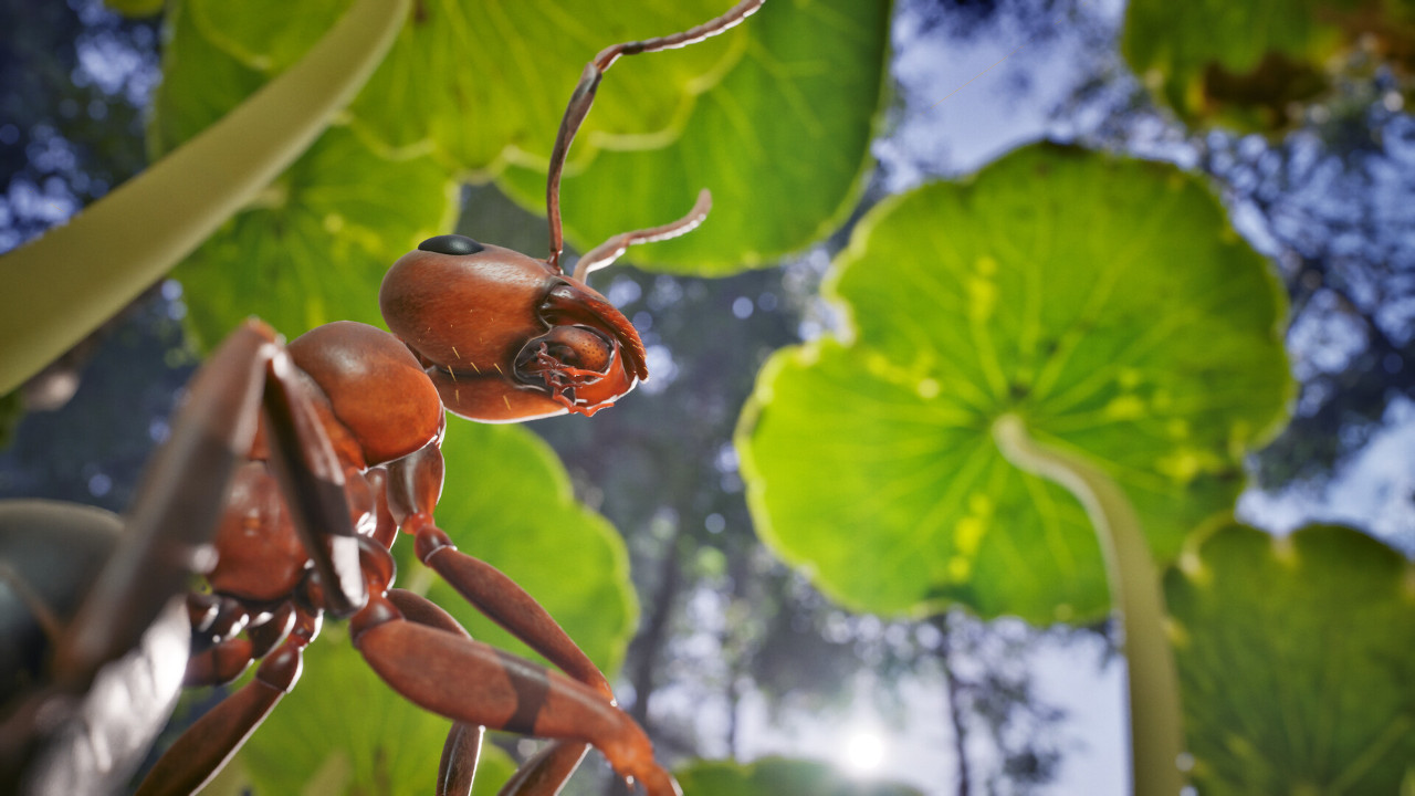 Фотореалистичная муравьиная стратегия Empire of the Ants получила дату релиза